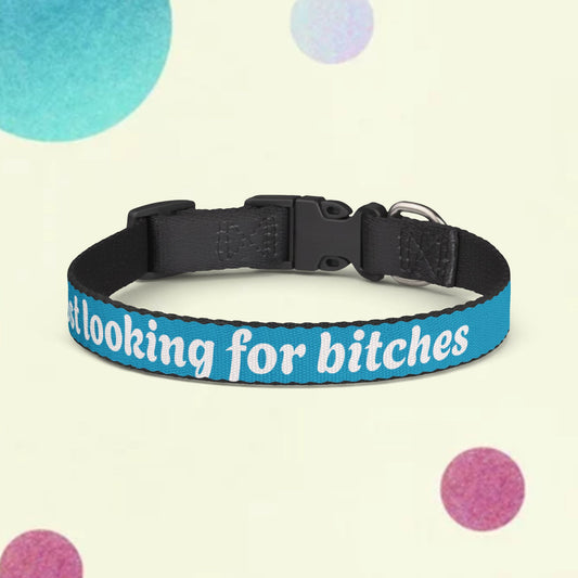 Pet Collar — "got lost looking for bitches" Clip-On Dog Collar