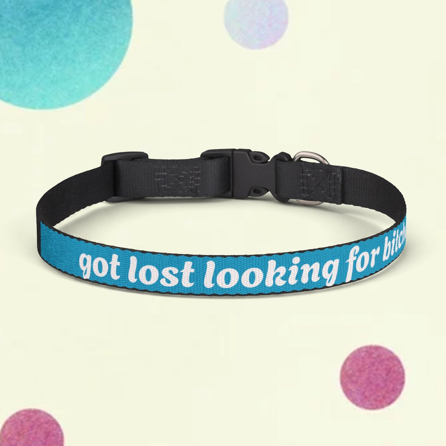 Pet Collar — "got lost looking for bitches" Clip-On Dog Collar