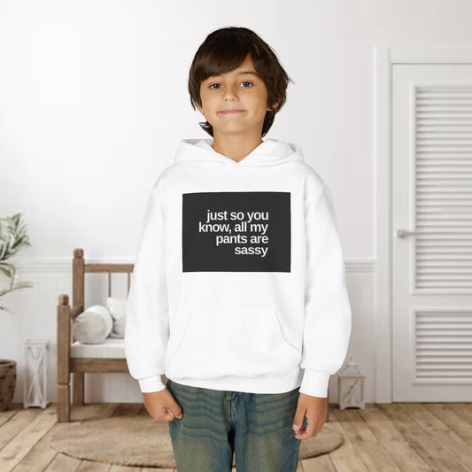 Youth Hoodie — "Just So You Know, All My Pants Are Sassy" Funny Graphic