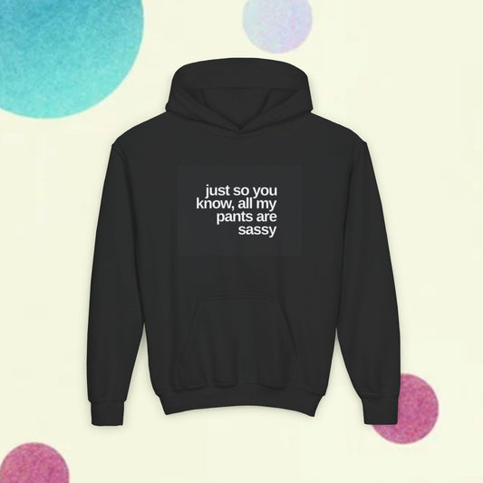 Youth Hoodie — "Just So You Know, All My Pants Are Sassy" Funny Graphic