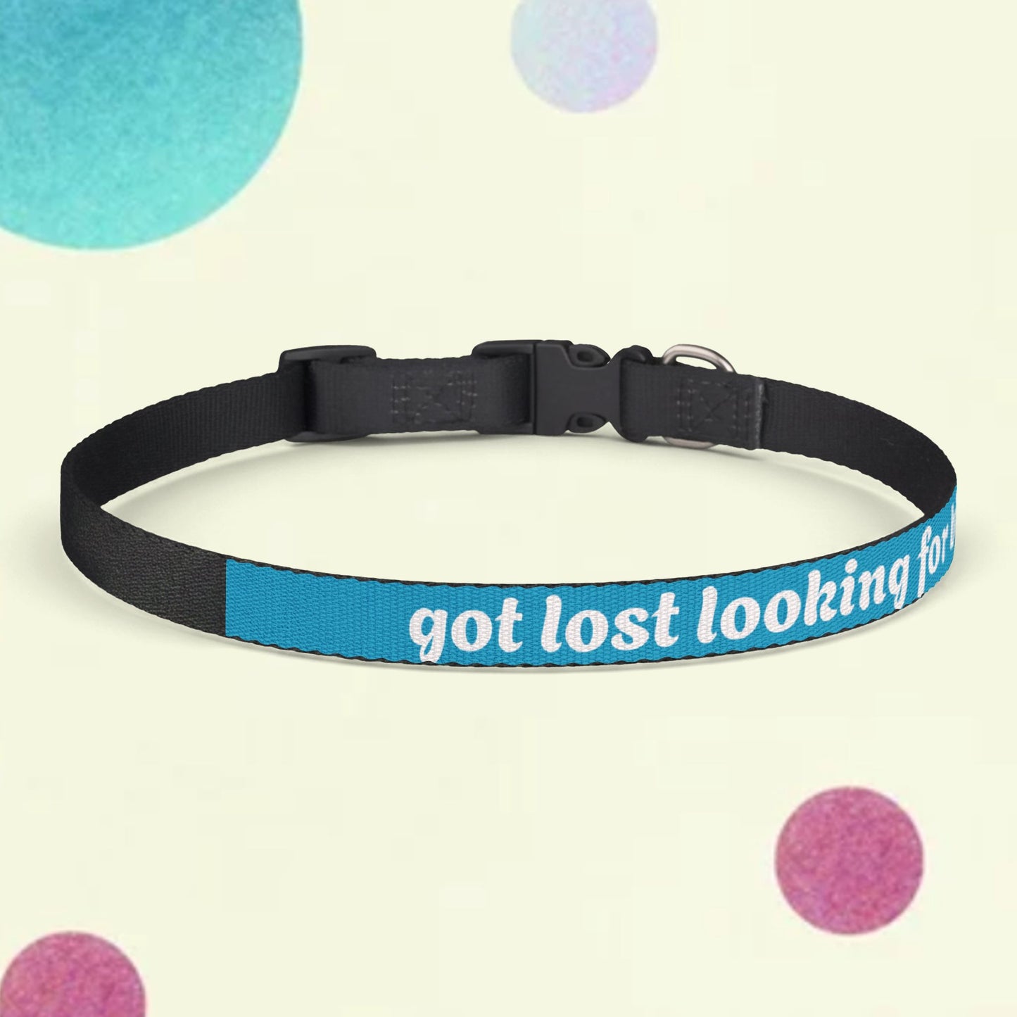 Pet Collar — "got lost looking for bitches" Clip-On Dog Collar